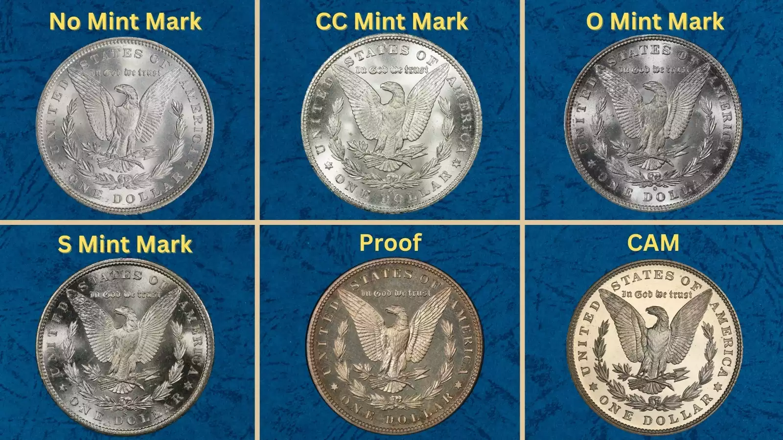 Group photograph of 1880 Morgan silver dollars showing all four mint marks — Philadelphia, Carson City, New Orleans, and San Francisco